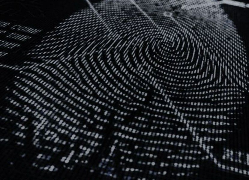  - Lord of the Butterflies