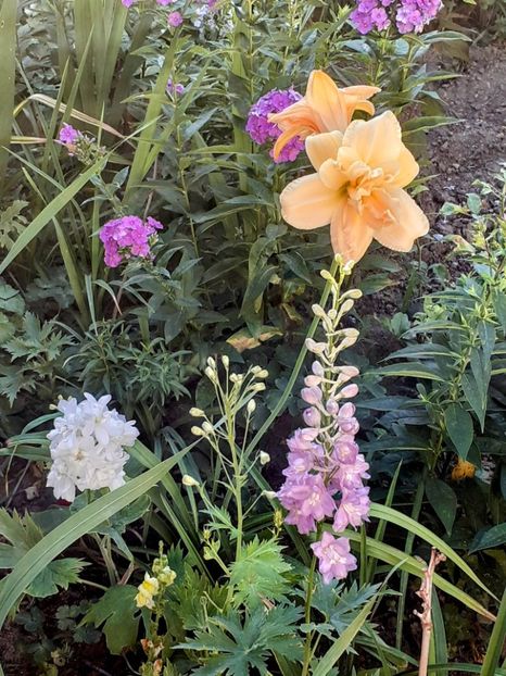 20240705_064226~2 - IUNIE- IULIE 2024