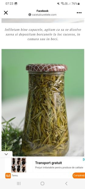 Screenshot_20240706_072350_Facebook - Tarhon in otet pentru iarna