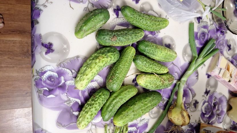  - În carantină muncind