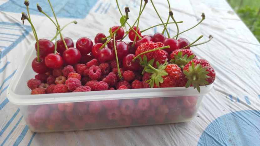  - În carantină muncind