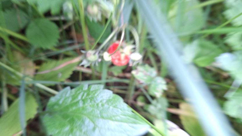  - În carantină muncind