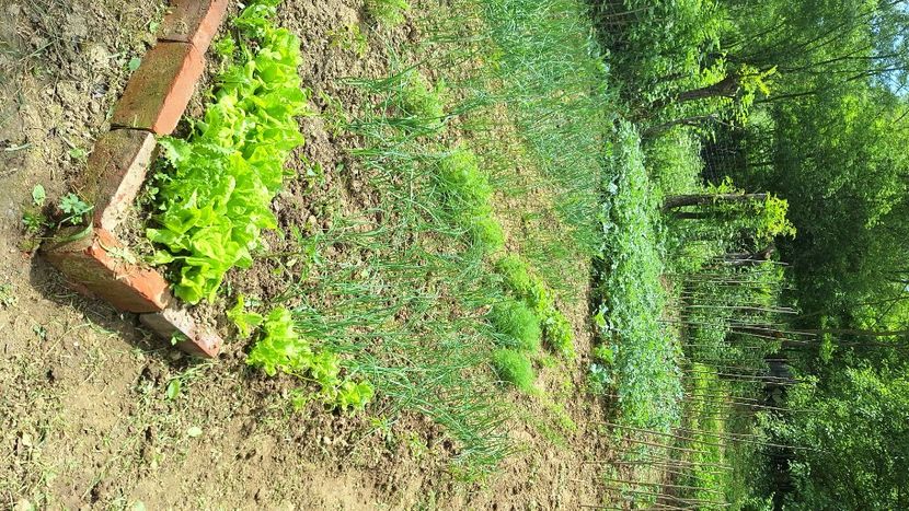  - În carantină muncind