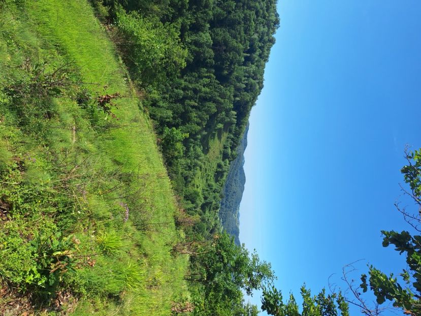  - În carantină muncind