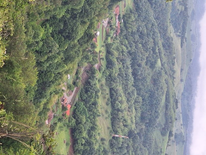 Obarsia - În carantină muncind