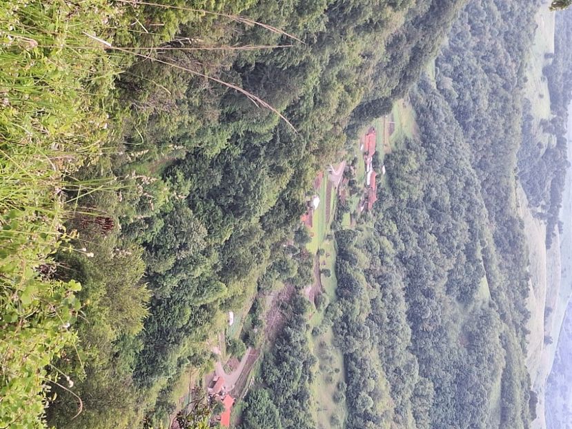  - În carantină muncind