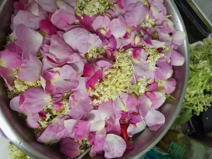  - În carantină muncind