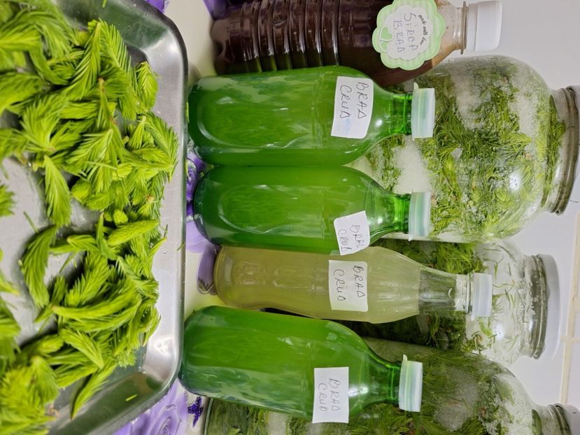  - În carantină muncind