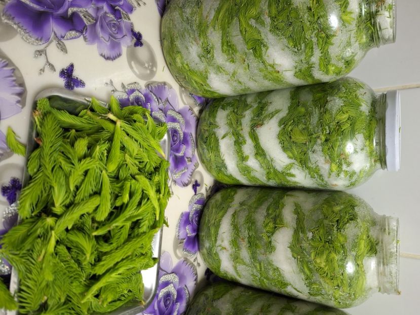  - În carantină muncind