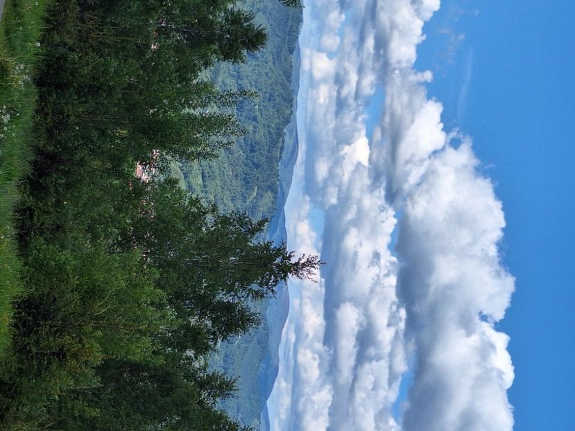  - În carantină muncind