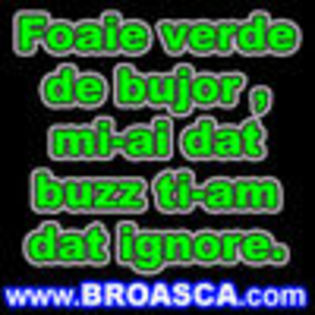 thumb_avatare_poze_Foaie_verde_de_bujor_mi-ai_dat_buzz_ti-am_dat_ignore - poze avatar