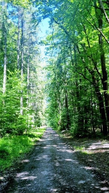  - Universul si Natura