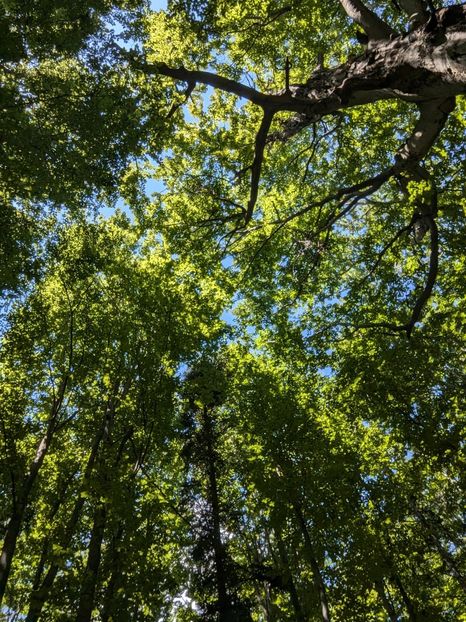  - Universul si Natura
