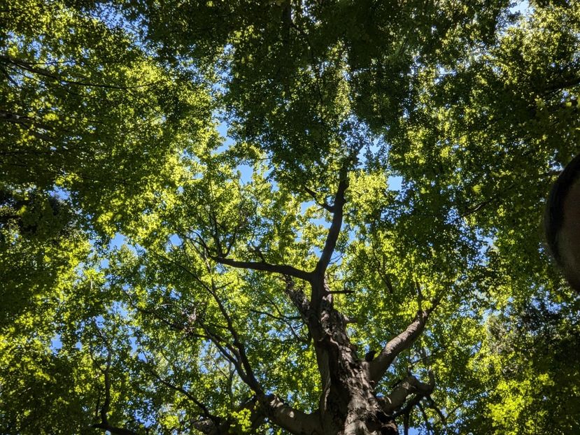  - Universul si Natura