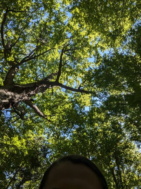  - Universul si Natura