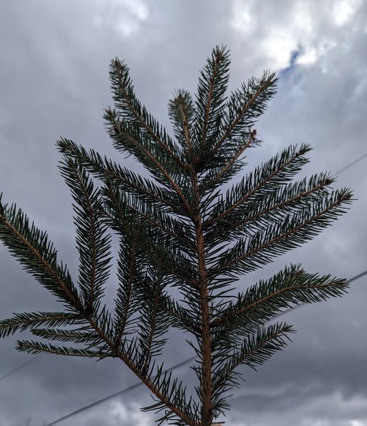  - Universul Natura si lumea sufletului meu