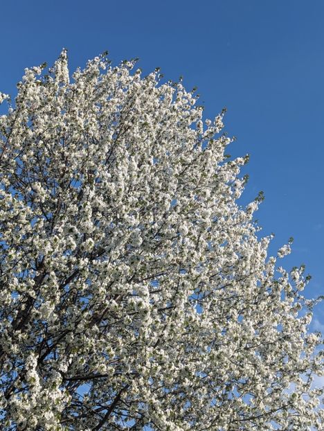  - Universul Natura si lumea sufletului meu