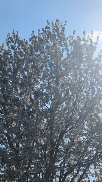  - Universul Natura si lumea sufletului meu