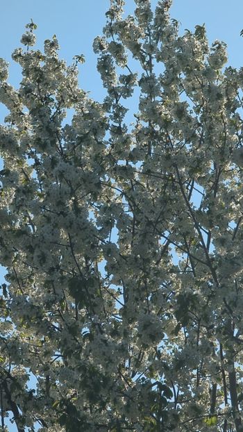  - Universul Natura si lumea sufletului meu