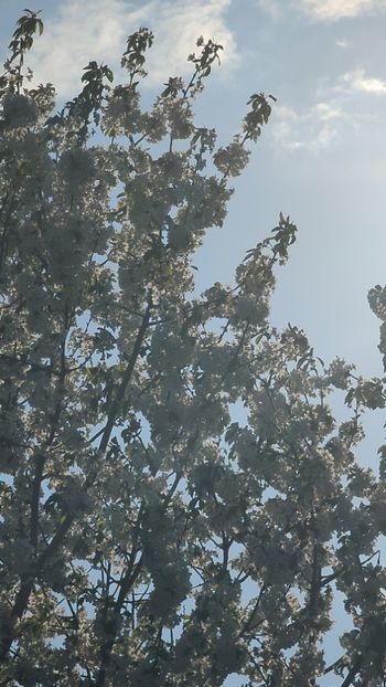  - Universul Natura si lumea sufletului meu