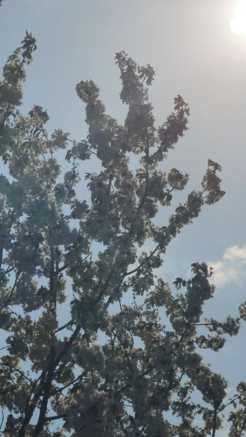  - Universul Natura si lumea sufletului meu