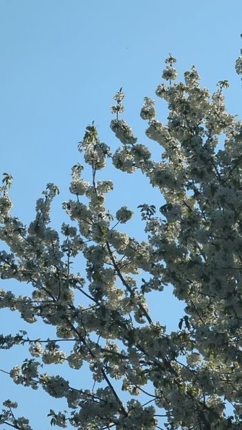  - Universul Natura si lumea sufletului meu