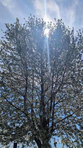  - Universul Natura si lumea sufletului meu