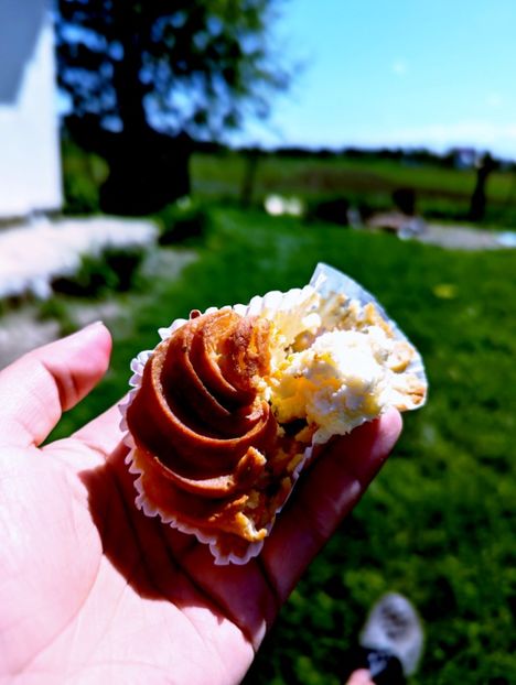  - Universul Natura si lumea sufletului meu