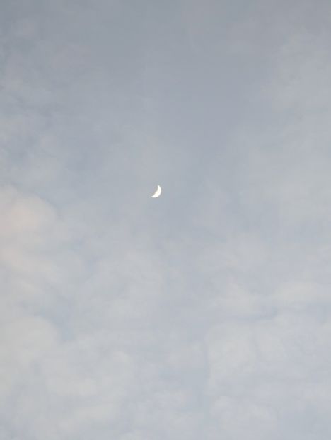  - Universul Natura si lumea sufletului meu