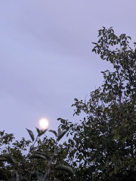  - Universul Natura si lumea sufletului meu