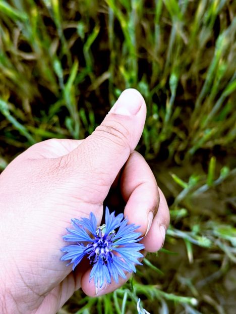  - Universul Natura si lumea sufletului meu