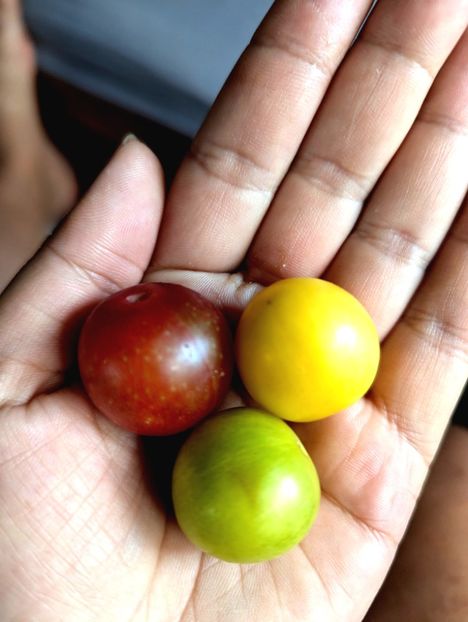  - Universul Natura si lumea sufletului meu