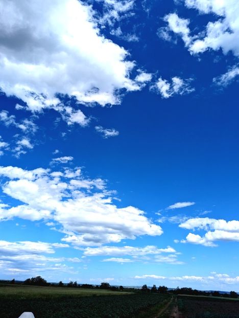  - Universul Natura si lumea sufletului meu