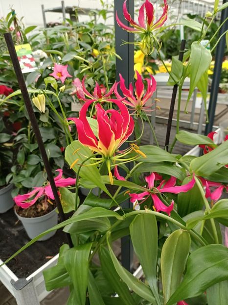 Img.2023.07.01 - Bremen