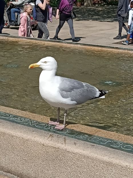 Img.2023.06.06 - Bremerhaven