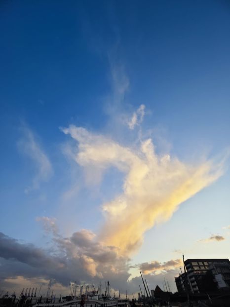 IMG-2023.07.17 - Cerul