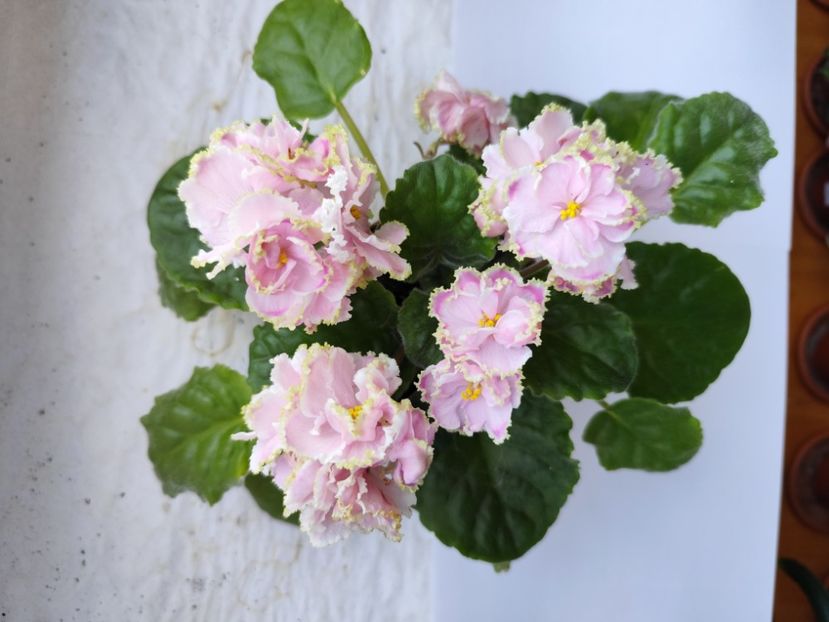 12 iulie 2024 - Zima Ulybaetsia