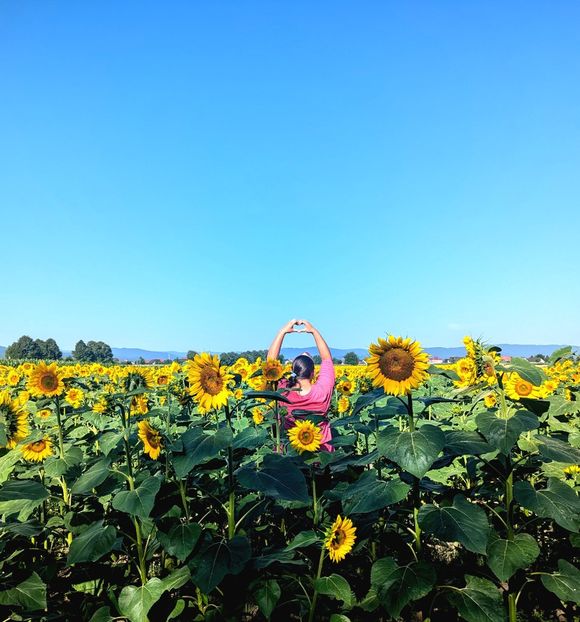  - - Q - Fotografii - Photos