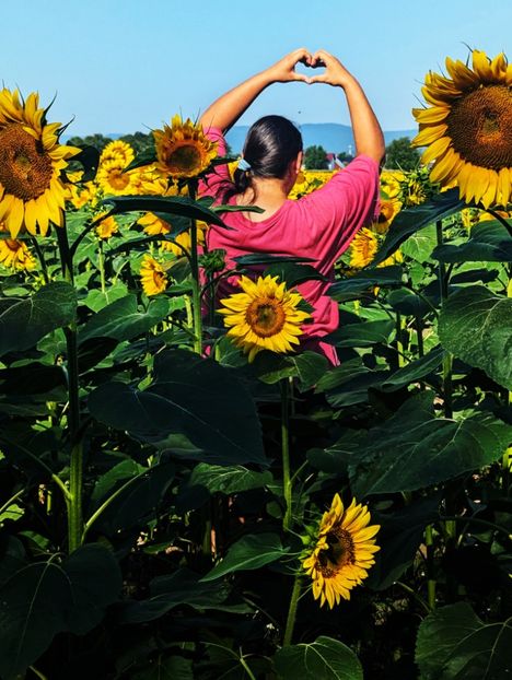  - - Q - Fotografii - Photos