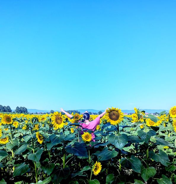 - Universul Natura si lumea sufletului meu