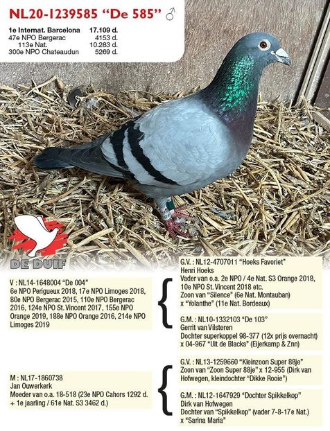 1 int Barcelona 2024 - Barcelona internațional