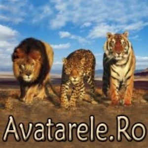 www_avatarele_ro__1226685998_121490 - Animalele oamenii evet