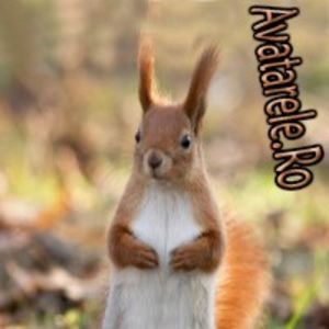 www_avatarele_ro__1226685713_663709 - Animalele oamenii evet