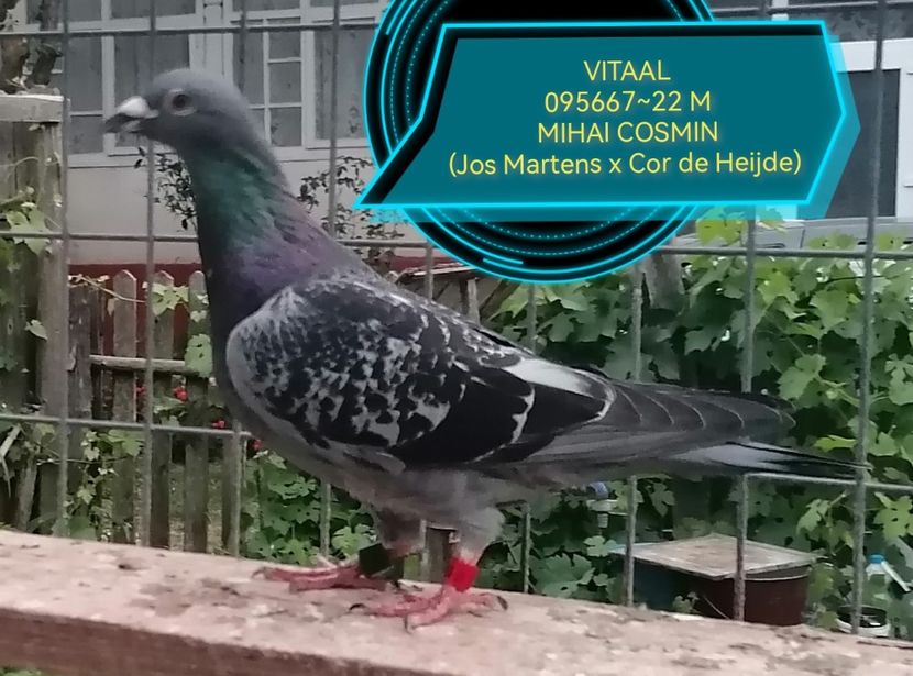  - Derby KUMIAŁA 917 KM POLONIA