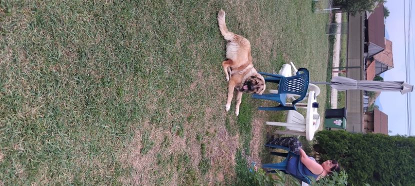 inbound7468048192874770820 - Názzly