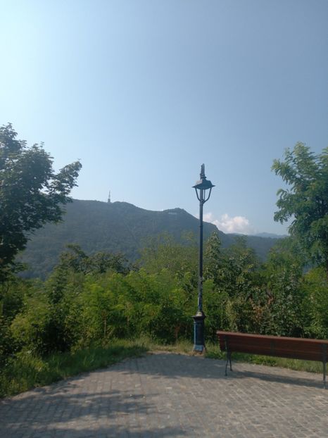  - Sibiu brasov