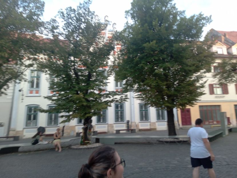  - Sibiu brasov