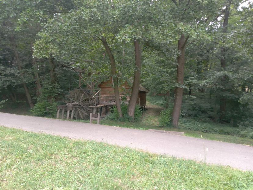  - Sibiu brasov