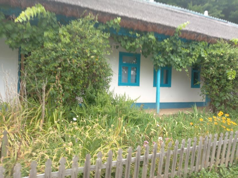  - Sibiu brasov