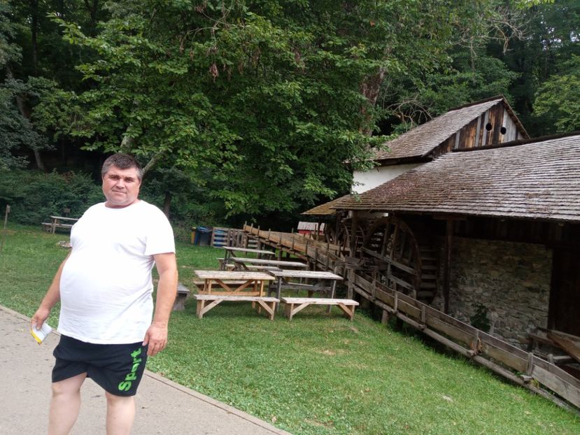  - Sibiu brasov